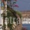 Hotel Grivas_lowest prices_in_Hotel_Cyclades Islands_Paros_Paros Chora