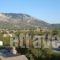 Roula Apartments_best prices_in_Apartment_Ionian Islands_Kefalonia_Kefalonia'st Areas