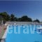 Siagas Beach Hotel_lowest prices_in_Hotel_Peloponesse_Korinthia_Agioi Theodori