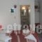 Rooms Mike_lowest prices_in_Room_Cyclades Islands_Paros_Paros Chora