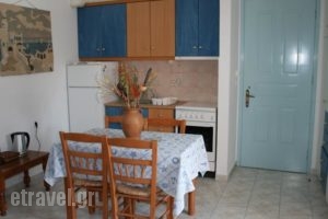 Pelagias Apartments_best deals_Apartment_Ionian Islands_Kefalonia_Aghia Efimia