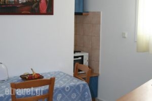 Pelagias Apartments_lowest prices_in_Apartment_Ionian Islands_Kefalonia_Aghia Efimia