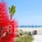 Sunrise Hotel And Suites_best prices_in_Hotel_Cyclades Islands_Mykonos_Mykonos ora