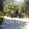 Annas Villa_best prices_in_Villa_Ionian Islands_Zakinthos_Zakinthos Rest Areas