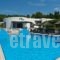 Musses_accommodation_in_Hotel_Central Greece_Evia_Artemisio