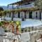 Vassiliki Studios_holidays_in_Hotel_Cyclades Islands_Andros_Andros City