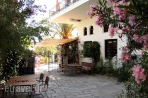 Pension Aldebaran_holidays_in_Hotel_Aegean Islands_Thassos_Potos