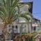 Pension Aldebaran_best prices_in_Hotel_Aegean Islands_Thassos_Potos