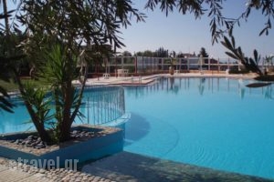 Nea Kydonia Suites & Studios_best prices_in_Hotel_Crete_Chania_Therisos