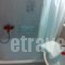 Guesthouse Chrysa_lowest prices_in_Hotel_Central Greece_Viotia_Arachova