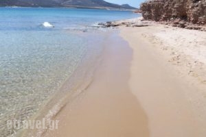 Studios Antiparos Beach_best prices_in_Hotel_Cyclades Islands_Antiparos_Antiparos Rest Areas