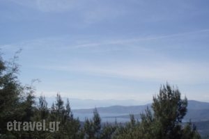 Bungalow - Camping Apollon_best deals_Hotel_Central Greece_Fokida_Delfi