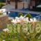 Eligia Villas_accommodation_in_Villa_Crete_Rethymnon_Plakias
