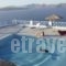Villa Maria Rooms_best prices_in_Villa_Cyclades Islands_Sandorini_Fira