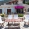 Pleoussa Studio and Apartments_lowest prices_in_Apartment_Sporades Islands_Skopelos_Skopelos Chora