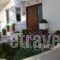 Veggie Garden Athens B&B_accommodation_in_Hotel_Central Greece_Attica_Elliniko