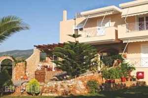 Sunset Studios_travel_packages_in_Central Greece_Evia_Nea Stira