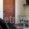 Giorgio Apartments_best prices_in_Apartment_Ionian Islands_Lefkada_Lefkada Chora