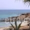 Blue Dolphin_best deals_Hotel_Cyclades Islands_Antiparos_Antiparos Chora