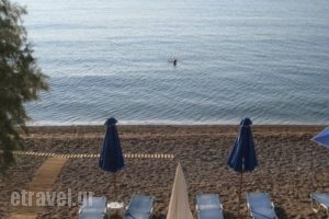Alexandros Apartments_travel_packages_in_Thessaly_Magnesia_Pilio Area
