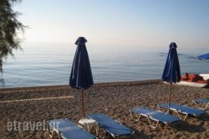 Alexandros Apartments_best prices_in_Apartment_Thessaly_Magnesia_Pilio Area