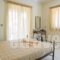 Efis House Rooms & Apartments_best deals_Room_Ionian Islands_Lefkada_Nikiana