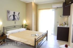 Efis House Rooms & Apartments_lowest prices_in_Room_Ionian Islands_Lefkada_Nikiana