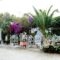 Prasino Oniro_best prices_in_Hotel_Cyclades Islands_Tinos_Tinosora