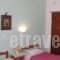 Studios Anna_lowest prices_in_Hotel_Ionian Islands_Zakinthos_Laganas