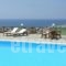 Carlo Bungalows_travel_packages_in_Cyclades Islands_Mykonos_Mykonos ora