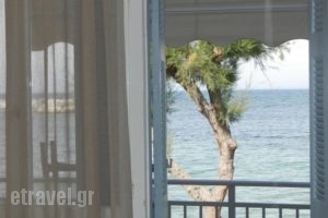 Akrogialia Rooms_best prices_in_Room_Aegean Islands_Lesvos_Lesvos Rest Areas
