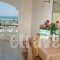 Poseidon Beach Hotel_best deals_Hotel_Ionian Islands_Zakinthos_Laganas