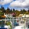 Paraskevi Apartments_holidays_in_Apartment_Ionian Islands_Corfu_Corfu Rest Areas