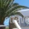 Hotel Manos_best deals_Hotel_Cyclades Islands_Paros_Naousa