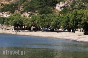 Hotel Flora_lowest prices_in_Hotel_Cyclades Islands_Sifnos_Platys Gialos