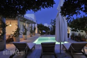 Villa Bellonia_best prices_in_Villa_Cyclades Islands_Paros_Paros Chora