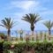 Villa Katerina_travel_packages_in_Crete_Lasithi_Makrys Gialos