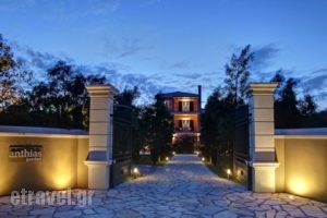 Anthias Garden_accommodation_in_Hotel_Ionian Islands_Lefkada_Lefkada Chora