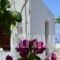 Villa Kapare_lowest prices_in_Villa_Crete_Chania_Vamos