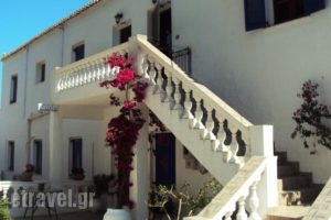 Villa Orizontes_accommodation_in_Villa_Piraeus Islands - Trizonia_Spetses_Spetses Chora