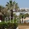 Studios Fivos_lowest prices_in_Hotel_Cyclades Islands_Paros_Paros Chora