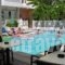 Elite Apartments_best prices_in_Apartment_Dodekanessos Islands_Kos_Kos Chora