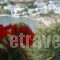 Voutsinou Apartments_travel_packages_in_Cyclades Islands_Syros_Syrosst Areas