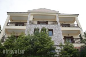 Thea Guesthouse_accommodation_in_Hotel_Thessaly_Karditsa_Neochori