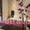 Villa Dorita_lowest prices_in_Villa_Epirus_Preveza_Parga