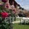 Eleni Apartments_best prices_in_Apartment_Ionian Islands_Corfu_Roda