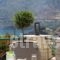 Amalia Apartments_best prices_in_Apartment_Crete_Rethymnon_Mylopotamos