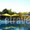 Hotel Vergina_best prices_in_Hotel_Central Greece_Attica_Athens