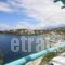 Paradise Design Apartments_accommodation_in_Apartment_Cyclades Islands_Andros_Andros City