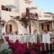 Hotel Irene_best prices_in_Hotel_Cyclades Islands_Paros_Paros Chora